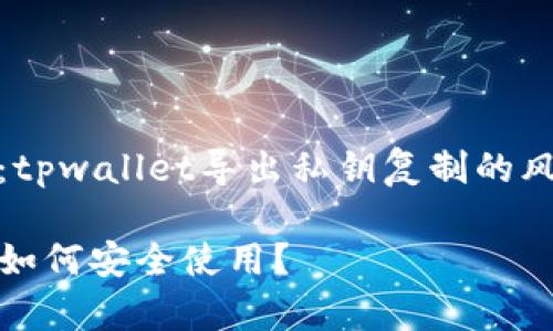 我们的讨论主题是：tpwallet导出私钥复制的风险分析及安全建议

tpwallet导出私钥如何安全使用？